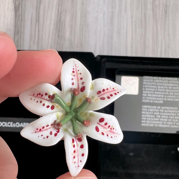 D &G Ear Clips - Picture 3 of 6